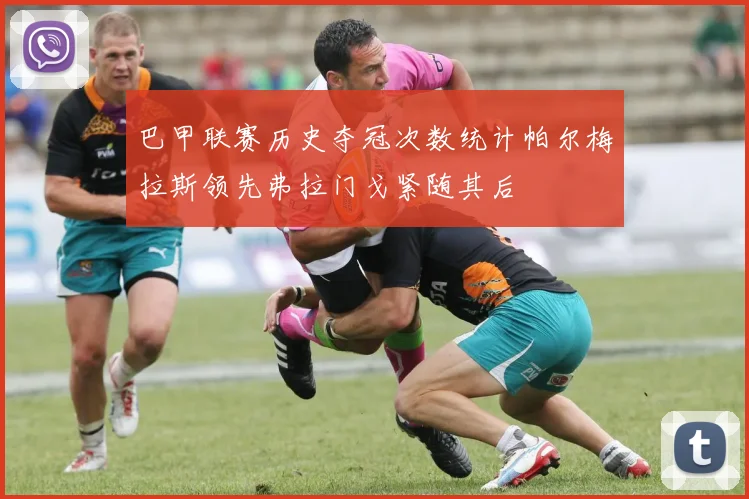 巴甲联赛历史夺冠次数统计帕尔梅拉斯领先弗拉门戈紧随其后