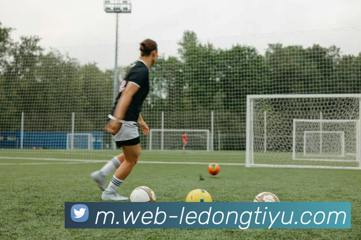 乐动体育发展历程