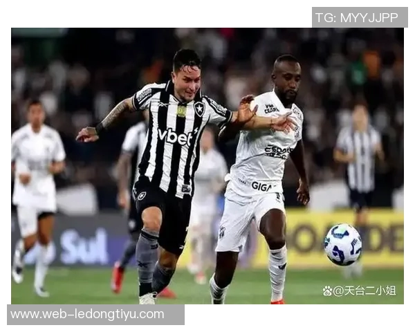 埃弗顿冬季转会瞄准博塔弗戈右后卫维蒂尼奥加强阵容